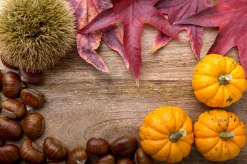 frame of small pumpkin, chestnut, curly chestnut and red leaves on wood