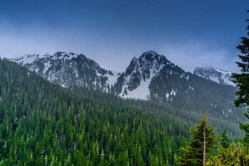 Mt Rainier National Park 5