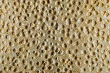 Crispy bread texture with holes chaotic pattern 