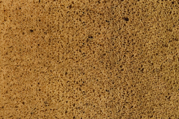 Wheat bread texture