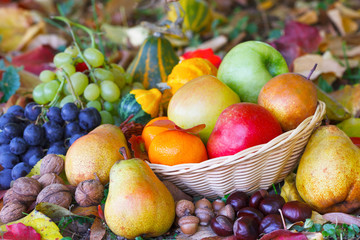 Wicker basket full of autumn fruit on the colorful leaves