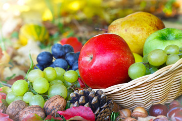 Autumn fruits in basket and colorful leaves lit by sun rays