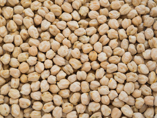 Chick-pea