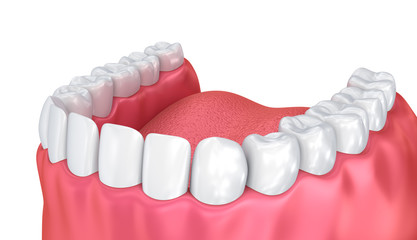 Mouth gum and teeth. Medically accurate tooth 3D illustration