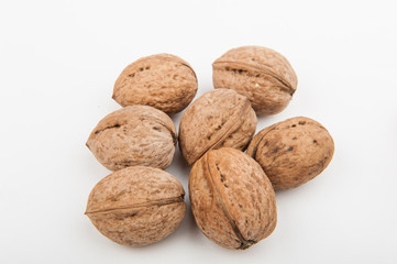 Орехи на белом фоне 