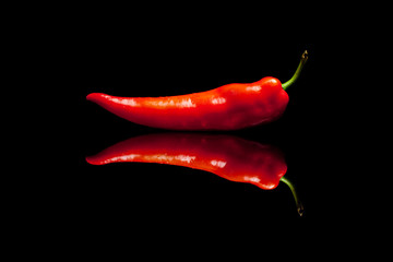 Red pepper on black reflective background