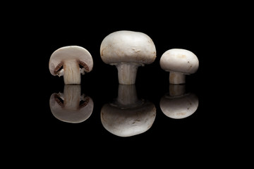 Three mushrooms on black reflective background