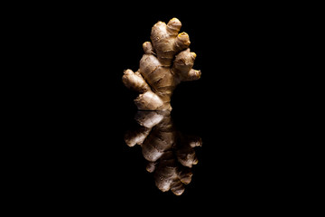 Standing ginger isolated on black reflective background