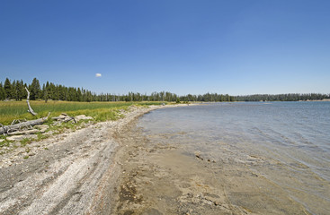 Fototapeta na wymiar Remote Shore on a Wilderness Lake