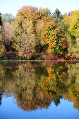 The autumn colors of trees near river, Bila Tserkva, Ukraine