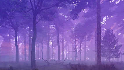 Scenic mysterious pine forest at foggy dawn or dusk. Woodland scene 3D illustration.