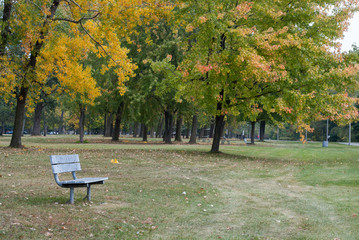 bench in park