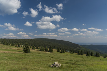 Krkonose mountains in sunny summer day