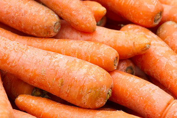 Carrot red background. Fresh organic vegetables