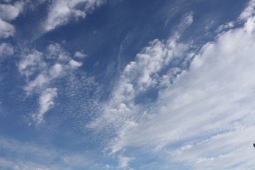 Fototapeta premium Blue Sky