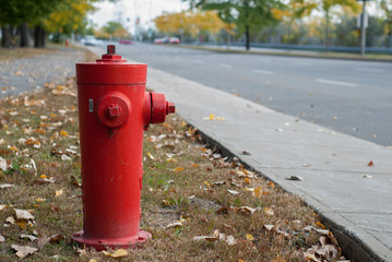 Fototapeta na wymiar red fire hydrant on roadside