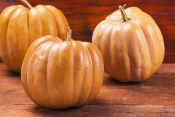 Autumn Pumpkin Thanksgiving Background . Orange pumpkins over wo