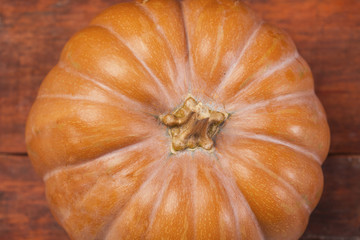 Autumn Pumpkin Thanksgiving Background . Orange pumpkins over wo