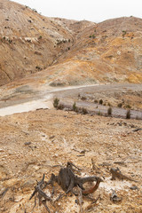Landscape Queenstown Tasmania
