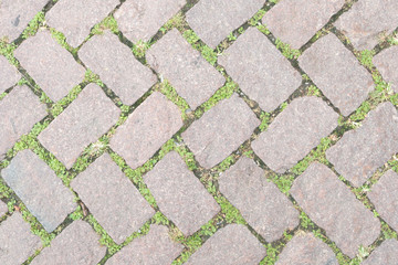 Grass Stone Floor texture pavement design