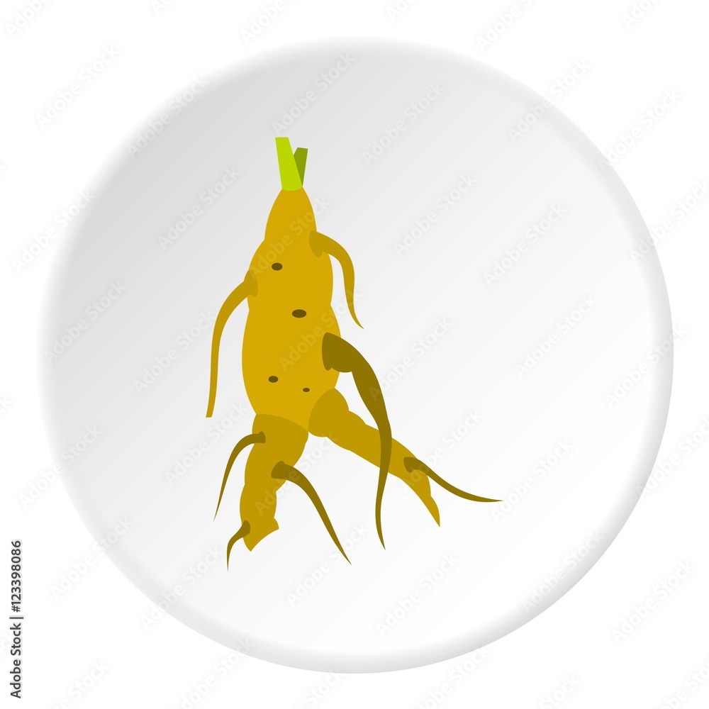 Poster ginseng icon. flat illustration of ginseng vector icon for web design