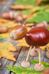 Small creature made of chestnuts and acorns. Autumnal decoration