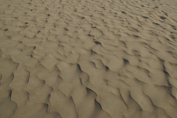 Sandmuster