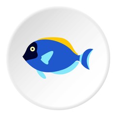Surgeon fish icon. Flat illustration of surgeon fish vector icon for web