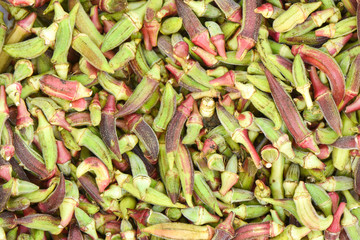 Fresh okra vegetable