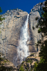 Upper Yosemite Falls under a Bright Blue Sky