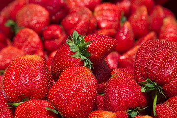 Berries strawberries unusual shape.