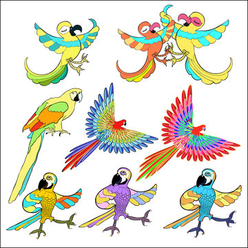 set of golden Caribbean parrot dancing.  illustration
