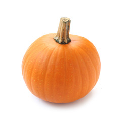 Obraz premium Pumpkin