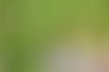 Abstract blurry nature background