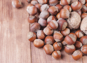 Walnuts walnut lying among hazelnut