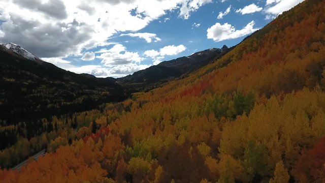 Aerial Drone Footage of Aspen Trees Fall Colors