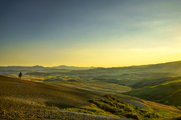 Tuscany Maremma sunset. Trees, farmlands, hills and fields. Ital