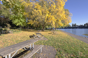 Obraz premium Blue Lake park at sunset Oregon.