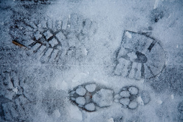 Boot Print and Dog foot Prints