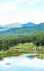 Golf course landscape