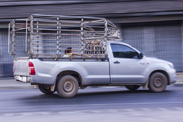 pick-up Speeding in road, truck