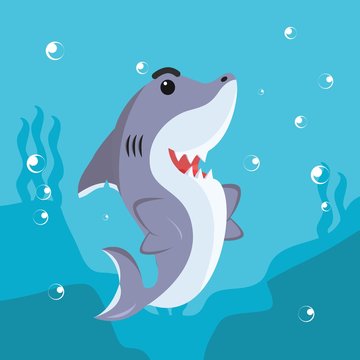 shark character smile vector illustration design