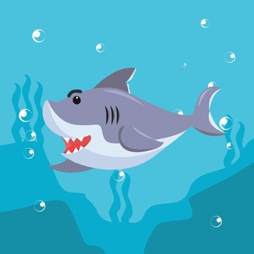 shark swimming character vector illustration design