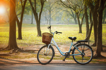 Fototapeta premium old vintage bicycle in public park with engergy save and green e