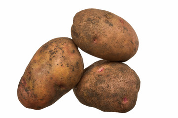 Fototapeta na wymiar Potatoes isolated on a white background