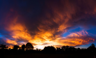 beautiful sunset with siluate tree