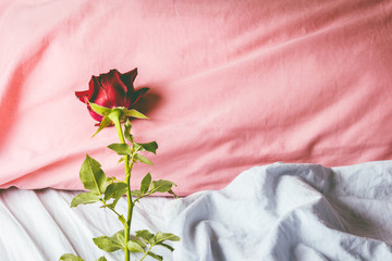 Romantic getaway with red rose on a pillow
