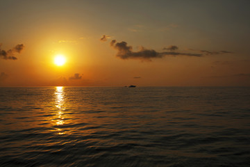 Sea sunset