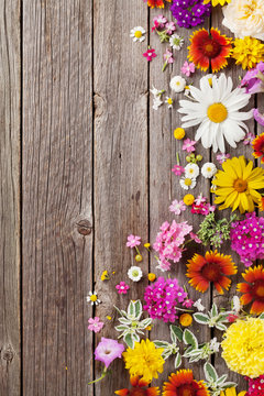 Fototapeta Garden flowers over wooden background