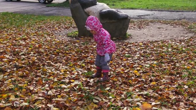 The child throws dry leaves into the air. Walking in the autumn park, sunny autumn day.